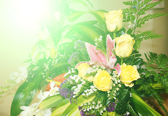 포토 JPG 해외이미지 식물 계절 공원 기념일 꽃잎 꽃 꽃다발 백그라운드 컨셉 잎 꽃무늬 밭 자연 하늘 추상 부활절 사람없음 초록색 여름 빛 햇빛 태양 장미 노란색 우주 정원 맑음 봄 튤립 벚꽃 인사 신선 소프트포커스 4월 배열 꽃집 보케 내추럴 블러 그리너리 해외202004 해외포토 자연요소 공공시설 컬러 무늬 농업 날씨 촬영기법 이벤트 상점 예절 날짜 생태계 파일형식 트랜드컬러 이미지허브