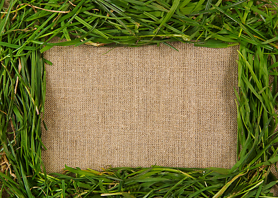 포토 JPG 해외이미지 식물 계절 백그라운드 자연 프레임 사람없음 가로 초록색 봄 신선 질감 캔버스 내추럴 카피스페이스 해외202004 해외포토 컬러 공백 생태계 파일형식 이미지허브