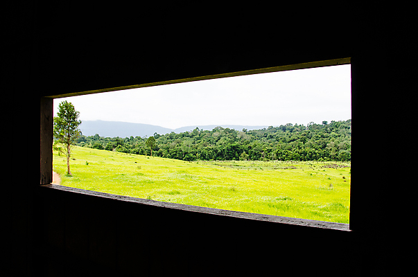 포토 JPG 해외이미지 나무 공원 길 백그라운드 밭 농업 창문 태국 자연 하늘 따뜻함 파노라마 풍경 잔디 사람없음 목재 초록색 여름 파란색 햇빛 맑음 봄 시골 오픈 숲 땅 언덕 내추럴 생태학 해외202004 해외포토 식물 계절 공공시설 교육 산업 아시아 컬러 재료 날씨 촬영기법 태양 생태계 파일형식 이미지허브