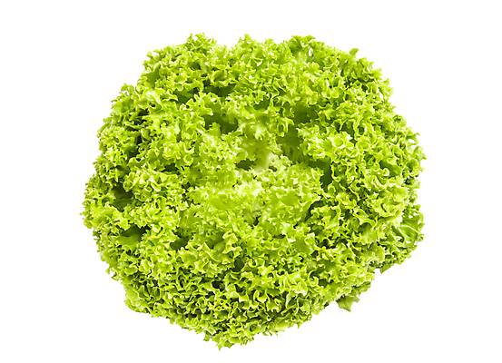 포토 JPG 해외이미지 음식 조각 백그라운드 채소 건강 요리 사람없음 초록색 컬러풀 식사 저녁식사 샐러드 신선 맛 아침식사 상추 먹기 유기농 칼로리 빙산 점심식사 고립 해외202004 해외포토 웰빙 컬러 컨셉 모션 파일형식 이미지허브