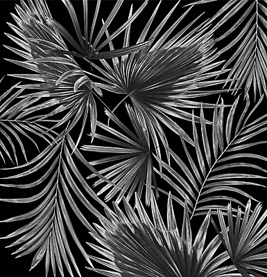 포토 JPG 해외이미지 나무 식물 아이콘 줄기 백그라운드 잎 패턴 곡선 부분 자연 추상 숙이기 손바닥 사람없음 초록색 여름 검은색 스파 성장 흰색 나뭇가지 숲 작음 심볼 오브젝트 싱글 아치 코코넛 정맥 해외202004 해외포토 손 계절 선 컬러 포즈 무늬 과일 크기 생태계 혈관 파일형식 이미지허브