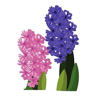 EPS 해외이미지 식물 꽃 분홍색 꽃다발 백그라운드 잎 꽃무늬 일러스트 자연 초록색 파란색 정원 보라색 봄 벚꽃 흰색 나뭇가지 제비꽃 흰배경 라일락 내추럴 히아신스 해외202004 해외일러스트 나무 계절 컬러 무늬 생태계 파일형식 벡터 이미지허브