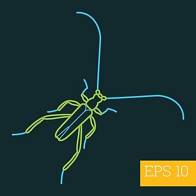 EPS 해외이미지 디자인 야생동물 선 곤충 절지류 일러스트 그래픽 픽토그램 주름 벌레 딱정벌레 심볼 오브젝트 사인 그림 심플 윤곽 고립 얇은 엘리먼트 해외202004 해외일러스트 동물 파일형식 벡터 이미지허브
