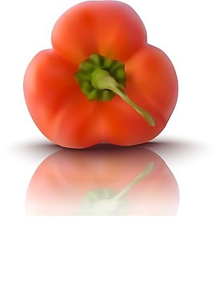 EPS 해외이미지 클립아트 음식 줄기 농업 다이어트 채소 일러스트 재료 자연 고추 파프리카 건강 요리 빨간색 빛 농장 식사 저녁식사 종 흰색 신선 뜨거움 양념 달콤 맛 먹기 향신료 상쾌 유기농 후추 내추럴 고립 숙성 식욕 채식주의자 해외202004 해외일러스트 식물 웰빙 감정 산업 컬러 컨셉 모션 생태계 채식 향미료 파일형식 벡터 이미지허브