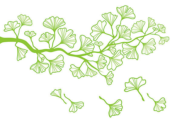 EPS 해외이미지 모양 나무 식물 계절 실루엣 선 백그라운드 잎 꽃무늬 일러스트 자연 추상 건강 미술 그래픽 초록색 약 봄 흰색 나뭇가지 허브 그림 윤곽 고립 해외202004 해외일러스트 꽃 컬러 무늬 의학 문화예술 촬영기법 생태계 파일형식 벡터 이미지허브