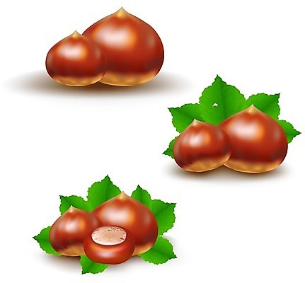 EPS 해외이미지 식물 백그라운드 단풍 잎 과일 일러스트 씨앗 장식 가로 세트 갈색 견과류 껍질 가을 흰색 나뭇가지 원형 가시 그룹 닫기 수집 피부 오브젝트 유기농 10월 내추럴 고립 적갈색 채식주의자 해외202004 해외일러스트 도형 나무 웰빙 계절 컬러 모션 신체부위 날짜 채식 파일형식 벡터 이미지허브