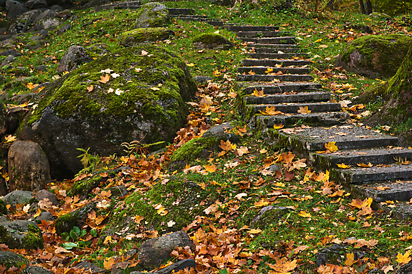 포토 JPG 해외이미지 나무 식물 계절 공원 길 줄기 백그라운드 단풍 잎 오렌지 자연 풍경 사람없음 야외 빨간색 초록색 컬러풀 평화 걷기 환경 정원 침묵 산책 카펫 가을 나뭇가지 황금 고독 숲 11월 은퇴 속도 장면 10월 소멸 해외202004 해외포토 공공시설 감정 컬러 컨셉 과일 모션 휴식 소리 날짜 생태계 파일형식 이미지허브