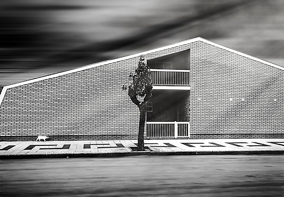 포토 JPG 해외이미지 나무 동물 1 도로 길 백그라운드 이동 건축양식 모션 표면 벽돌 거리 주택 그림자 사람없음 건물 빛 햇빛 고양이 어둠 산책 광선 발코니 도시 보행로 매끈함 소프트포커스 그늘 오솔길 시골집 타운 방법 특별함 혼자 해외202004 해외포토 식물 건축물 건축 컨셉 포유류 교통시설 휴식 촬영기법 반려동물 태양 감각 파일형식 이미지허브