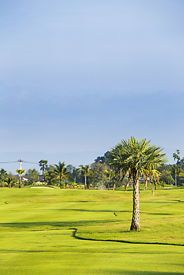 포토 JPG 해외이미지 나무 라이프스타일 계절 공원 백그라운드 밭 골프 자연 놀이 하늘 휴가 풍경 잔디 취미 사람없음 야외 빨간색 초록색 여름 컬러풀 우주 맑음 봄 게임 흰색 시골 깃발 구멍 숲 강의 땅 클럽 싱글 장면 넣기 페어웨이 해외202004 해외포토 식물 공공시설 컬러 농업 모션 날씨 생활 구기 생태계 파일형식 이미지허브