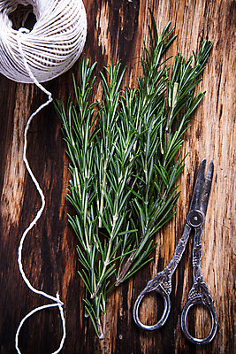 포토 JPG 해외이미지 백그라운드 잎 파슬리 건강 사람없음 목재 초록색 주방 정원 시골 신선 양념 다발 수집 민트 허브 향신료 준비 유기농 날것 머리위 향 바질 로즈메리 내추럴 백리향 해외202004 해외포토 나무 식물 웰빙 컬러 채소 재료 향미료 파일형식 이미지허브