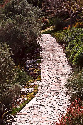 포토 JPG 해외이미지 나무 식물 꽃 자연 하늘 풍경 사람없음 야외 빨간색 초록색 봄 개화 언덕 이스라엘 해외202004 해외포토 계절 컬러 생태계 서아시아 파일형식 이미지허브