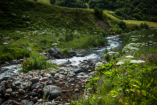 포토 JPG 해외이미지 백인 스포츠 여행 휴가 산 사람없음 초록색 물 강 남쪽 추적 조지아 해외202004 해외포토 자연요소 서양인 컬러 모션 방향 동유럽 파일형식 이미지허브