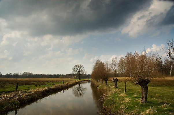 포토 JPG 해외이미지 나무 구름 계절 자연 하늘 풍경 사람없음 야외 목재 초록색 물 여름 파란색 강 반사 평화 어둠 봄 시골 개울 숲 버드나무 네덜란드 폭풍 수평선 해외202004 해외포토 자연요소 식물 유럽 컬러 컨셉 재료 날씨 생태계 파일형식 이미지허브