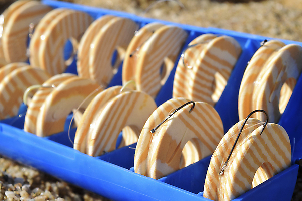 포토 JPG 해외이미지 낚시 어류 사람없음 장비 고리 어부 미끼 보유 신발장 해외202004 해외포토 직업 레저 수중동물 파일형식 이미지허브