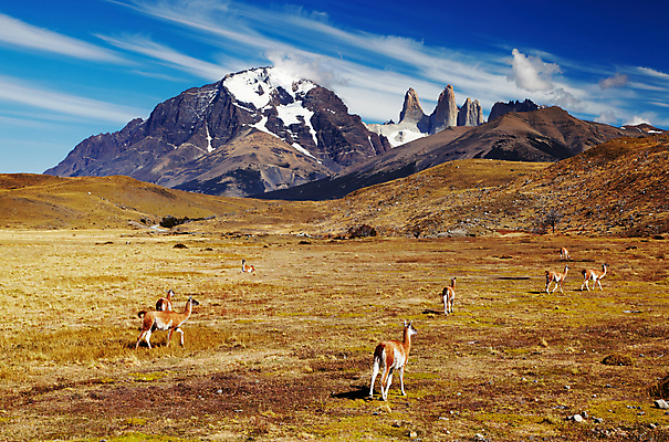 포토 JPG 해외이미지 동물 구름 공원 야생동물 여행 자연 하늘 산 풍경 사람없음 야외 파란색 환경 탑 맑음 미국 가을 황무지 군중 방목 언덕 낙타 암초 칠레 남쪽 산악지대 라마 전국 절정 해외202004 해외포토 자연요소 건축물 계절 공공시설 컬러 북아메리카 포유류 날씨 사람 남아메리카 축산업 방향 생태계 파일형식 이미지허브