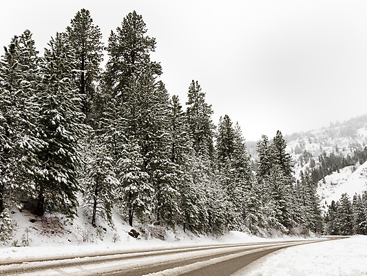 포토 JPG 해외이미지 나무 계절 도로 여행 겨울 자연 날씨 산 풍경 사람없음 야외 목재 환경 냉동 얼음 추위 안개 흰색 시골 숲 12월 서리 장면 통과 내추럴 절정 폭설 눈내림 해외202004 해외포토 자연요소 식물 길 컬러 재료 교통시설 눈_날씨 날짜 자연재해 생태계 파일형식 이미지허브