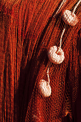 포토 JPG 해외이미지 밧줄 바다 백그라운드 낚시 어류 사람없음 물 장비 공구 잡기 그물 오브젝트 질감 사냥 낚시꾼 포수 해외202004 해외포토 자연요소 줄 모션 레저 수중동물 도구 야구선수 파일형식 이미지허브