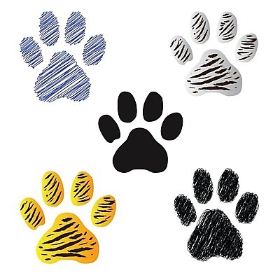 EPS 해외이미지 모양 동물 야생동물 일러스트 프레임 미술 그래픽 검은색 고양이 페인트 줄무늬 흰색 그리기 호랑이 강아지 인쇄 발자국 만화 심볼 윤곽 표범 고립 양발 자취 해외202004 해외일러스트 컬러 무늬 포유류 자국 모션 문화예술 반려동물 개 파일형식 벡터 이미지허브