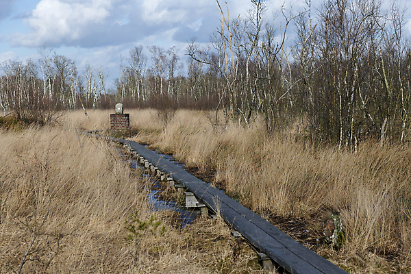 포토 JPG 해외이미지 나무 식물 공원 자연 독일 풍경 사람없음 야외 물 걷기 하이킹 바위 경계선 행운 황무지 네덜란드 자작나무 내추럴 변소 전국 특별함 프로젝트 해외202004 해외포토 자연요소 공공시설 유럽 선 컨셉 모션 레저 돌_바위 경계 생태계 파일형식 이미지허브