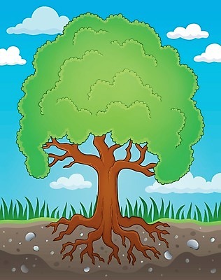 EPS 해외이미지 모양 나무 식물 계절 줄기 일러스트 자연 미술 여름 환경 봄 성장 나뭇가지 그리기 그림 생태계 뿌리 내추럴 구성 생태학 해외202004 해외일러스트 교육 모션 문화예술 파일형식 벡터 이미지허브