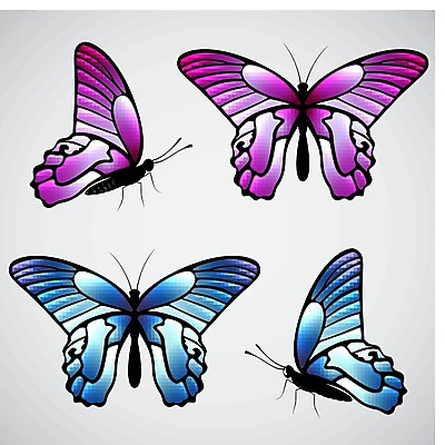 EPS 해외이미지 디자인 실루엣 나비 곤충 패턴 날개 일러스트 자연 추상 미술 그래픽 장식 여름 파란색 빛 세트 컬러풀 검은색 봄 흰색 수집 고립 엘리먼트 해외202004 해외일러스트 동물 계절 컬러 무늬 문화예술 촬영기법 생태계 파일형식 벡터 이미지허브