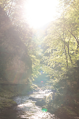 포토 JPG 해외이미지 나무 공원 유럽 길 여행 모션 자연 휴가 풍경 사람없음 목재 초록색 물 여름 빛 강 태양 여행객 골짜기 흐름 개울 숲 속도 알프스 암초 슬로베니아 해외202004 해외포토 자연요소 식물 계절 공공시설 나라 컬러 컨셉 재료 사람 생태계 파일형식 이미지허브