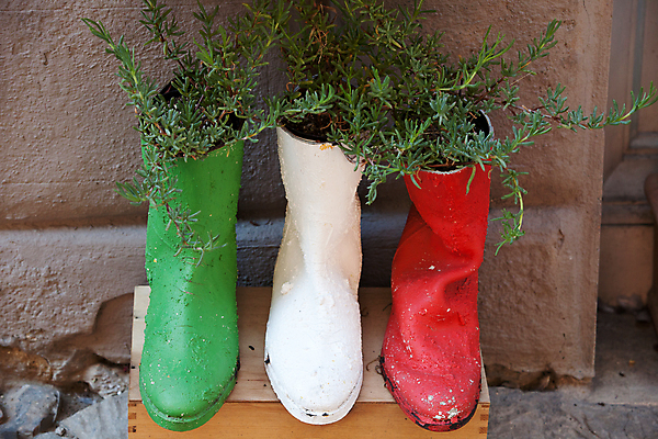 포토 JPG 해외이미지 디자인 꽃 화분 꽃다발 백그라운드 신발 거리 선물 사람없음 장식 빨간색 초록색 컬러풀 약 이탈리아 프랑스 가을 냄비 배열 허브 향수 아로마테라피 라벤더 프랑스어 시에나 에센스 옛날 줄서기 토스카나 해외202004 해외포토 식물 문자 계절 유럽 컬러 의학 모션 화장품 솥 테라피 파일형식 이미지허브