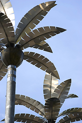 포토 JPG 해외이미지 나무 식물 디자인 실루엣 잎 자연 추상 열대 손바닥 사람없음 장식 빛 금속 도시 코코넛 인공 철강 해외202004 해외포토 손 무늬 과일 재질 촬영기법 생태계 파일형식 이미지허브