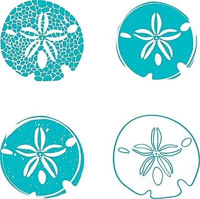 EPS 해외이미지 디자인 모래 바다 일러스트 자연 조개 세트 달러 껍질 수집 그림 해외202004 해외일러스트 돈 어패류 생태계 파일형식 벡터 이미지허브