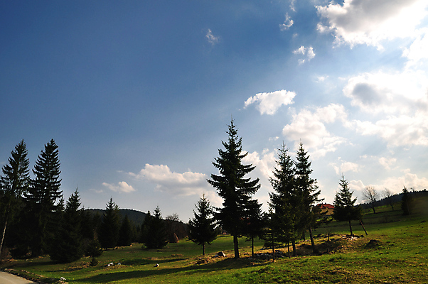 포토 JPG 해외이미지 나무 구름 계절 잎 밭 자연 하늘 날씨 산 풍경 사람없음 야외 목재 초록색 여름 파란색 컬러풀 햇빛 맑음 봄 트래킹 하이킹 시골 신선 오픈 땅 순수 지역 해외202004 해외포토 자연요소 식물 컬러 컨셉 농업 재료 레저 태양 생태계 파일형식 이미지허브