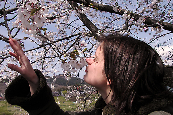 포토 JPG 해외이미지 나무 손 계절 여자 꽃 얼굴 여행 손가락 자연 휴가 휴식 새로움 갈색머리 한명 사람 야외 옆모습 머리 봄 기쁨 벚꽃 나뭇가지 신선 체리 코 향기 냄새 주말 내추럴 해외202004 해외포토 식물 1 헤어스타일 감정 뷰포인트 컨셉 과일 신체부위 생태계 파일형식 이미지허브