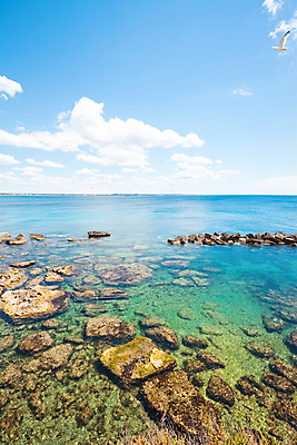 포토 JPG 해외이미지 유럽 바다 여행 자연 휴가 휴식 풍경 사람없음 초록색 물 여름 파란색 컬러풀 햇빛 평화 수영 이탈리아 산책로 조약돌 만 황무지 편안함 지중해 순수 암초 천국 터키석 수평선 해외202004 해외포토 자연요소 계절 나라 길 컬러 컨셉 태양 돌_바위 수상스포츠 감각 보석 생태계 파일형식 이미지허브