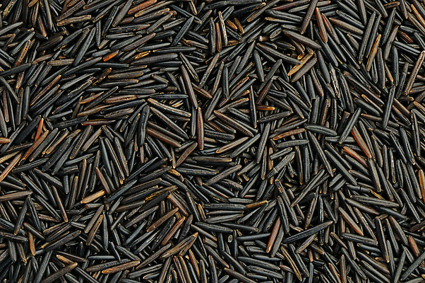 포토 JPG 해외이미지 음식 백그라운드 건조 사람없음 갈색 시리얼 질감 날것 건강식 채식주의자 해외202004 해외포토 컬러 채식 파일형식 이미지허브