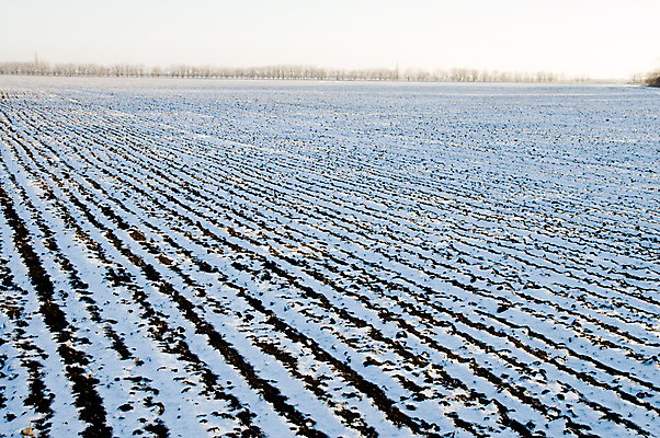 포토 JPG 해외이미지 계절 겨울 농업 자연 하늘 날씨 풍경 사람없음 야외 가로 파란색 냉동 얼음 회색 추위 흰색 시골 땅 서리 먼지 장면 북쪽 온도 내추럴 해외202004 해외포토 자연요소 산업 컬러 방향 생태계 파일형식 이미지허브