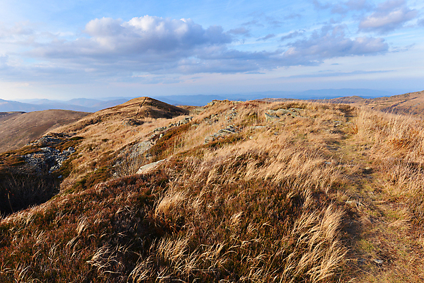 포토 JPG 해외이미지 나무 공원 여행 자연 하늘 휴가 산 건조 파노라마 풍경 사람없음 야외 초록색 파란색 우주 환경 산책 트래킹 하이킹 가을 숲 오솔길 언덕 지역 절정 해외202004 해외포토 식물 계절 공공시설 길 컬러 레저 휴식 촬영기법 생태계 파일형식 이미지허브