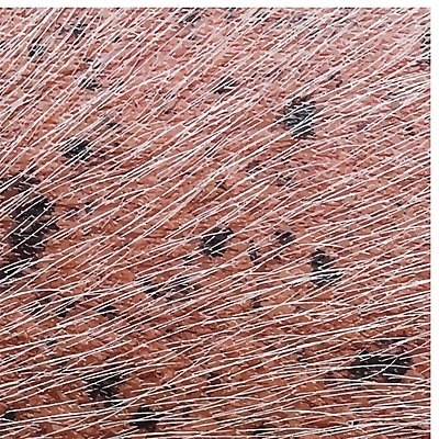 EPS 해외이미지 동물 디자인 아시아 야생동물 분홍색 백그라운드 패턴 일러스트 자연 벽지 표면 추상 미술 갈색 노란색 유행 검은색 흰색 점 모피 피부 질감 해외202004 해외일러스트 나라 컬러 무늬 문화예술 신체부위 생태계 파일형식 벡터 이미지허브