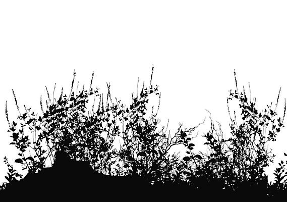 EPS 해외이미지 모양 식물 디자인 계절 꽃 실루엣 줄기 나비 곤충 백그라운드 잎 꽃무늬 밭 일러스트 자연 추상 프레임 풍경 잔디 야외 여름 세트 정원 봄 성장 나뭇가지 시골 땅 수집 그림 조경 내추럴 엘리먼트 자취 수평선 해외202004 해외일러스트 나무 동물 무늬 농업 촬영기법 생태계 파일형식 벡터 이미지허브