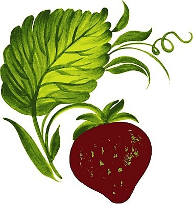 EPS 해외이미지 디자인 꽃 백그라운드 잎 일러스트 딸기 수채화 미술 사람없음 손그림 해외202004 해외일러스트 식물 과일 문화예술 파일형식 벡터 이미지허브