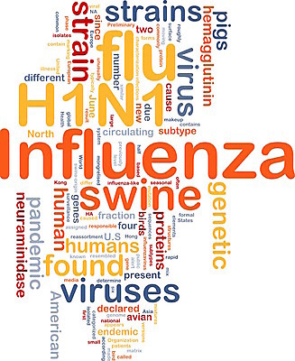 포토 JPG 해외이미지 구름 디자인 계절 백그라운드 컨셉 일러스트 조류 건강 사람없음 그래픽 단어 세계 꼬리표 돼지 바이러스 묘사 시스템 정의 유전 인플루엔자 스타일 해외202004 해외포토 자연요소 동물 문자 포유류 라벨 파일형식 이미지허브