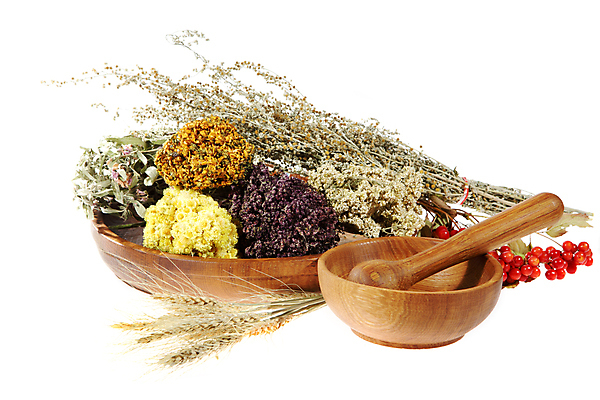 포토 JPG 해외이미지 식물 꽃 백그라운드 잎 재료 자연 건조 건강 사람없음 치료 초록색 약 흰색 약초 약국 허브 향신료 내추럴 고립 치료제 해외202004 해외포토 컬러 의학 풀_식물 생태계 향미료 파일형식 이미지허브