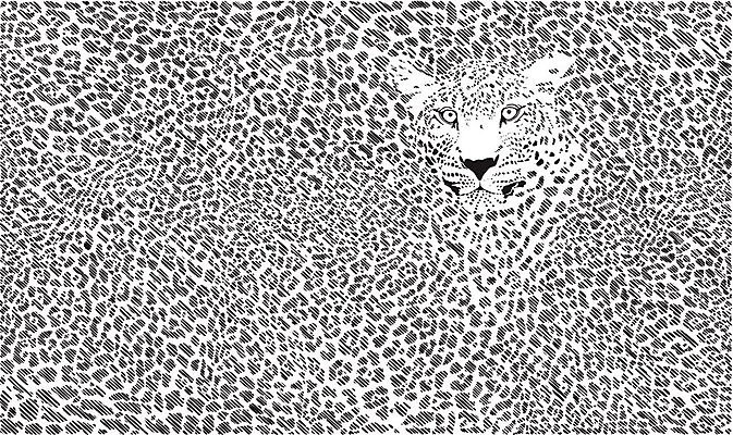 EPS 해외이미지 동물 디자인 백그라운드 패턴 일러스트 벽지 추상 그래픽 장식 우아함 인쇄 피부 그림 질감 해외202004 해외일러스트 컨셉 무늬 신체부위 파일형식 벡터 이미지허브