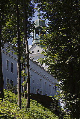 포토 JPG 해외이미지 나무 하늘 사람없음 건물 초록색 파란색 흰색 폴란드 천연기념물 해외202004 해외포토 식물 건축물 유럽 컬러 파일형식 이미지허브