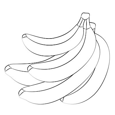 EPS 해외이미지 디자인 음식 백그라운드 농업 과일 일러스트 자연 바나나 건강 책 노란색 검은색 껍질 흰색 달콤 다발 고립 숙성 채식주의자 해외202004 해외일러스트 산업 컬러 맛 생태계 채식 파일형식 벡터 이미지허브