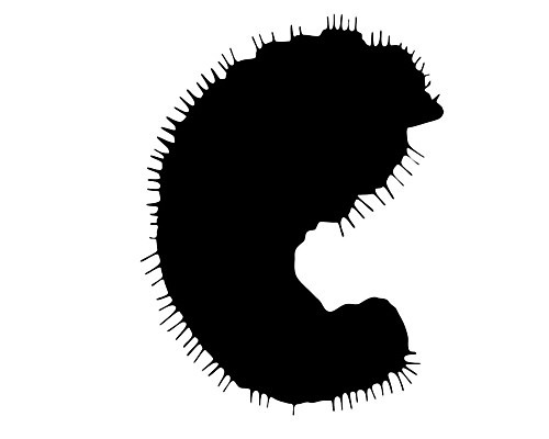 EPS 해외이미지 나무 동물 실루엣 곤충 백그라운드 일러스트 빨간색 검은색 무대 흰색 해충 벌레 숲 딱정벌레 심볼 사인 나무껍질 애벌레 동물상 변태 가문비나무 해외202004 해외일러스트 식물 컬러 촬영기법 조형물 껍질 파일형식 벡터 이미지허브