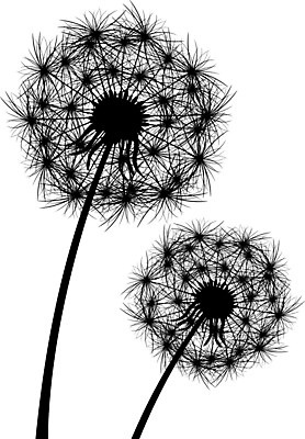 EPS 해외이미지 식물 커플 꽃 실루엣 2 일러스트 자연 씨앗 여름 환경 검은색 봄 민들레 솜털 생태학 해외202004 해외일러스트 계절 교육 컬러 관계 촬영기법 생태계 파일형식 벡터 이미지허브