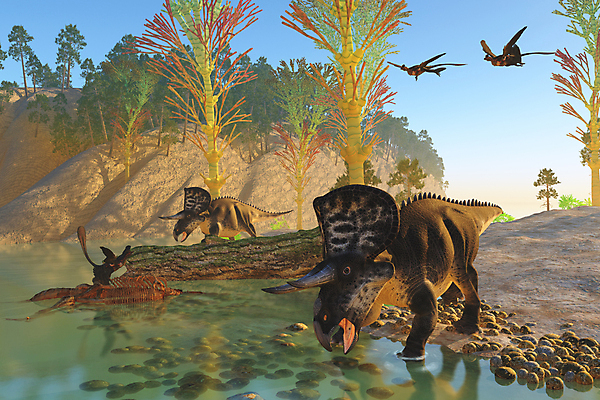 포토 JPG 해외이미지 동물 척추동물 일러스트 파충류 자연 조류 초식동물 생물 뿔 사람없음 큼 공룡 그림 도마뱀 멸종 선사시대 원시시대 초식 해외202004 해외포토 역사 크기 생태계 파일형식 이미지허브