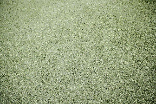 포토 JPG 해외이미지 식물 라이프스타일 계절 공원 백그라운드 패턴 밭 자연 벽지 놀이 표면 추상 풍경 잔디 사람없음 야외 초록색 여름 우주 환경 정원 축구 봄 성장 신선 땅 자르기 에코 질감 내추럴 땅바닥 생태학 그리너리 해외202004 해외포토 공공시설 교육 컬러 무늬 농업 모션 바닥 생활 구기 생태계 파일형식 트랜드컬러 이미지허브