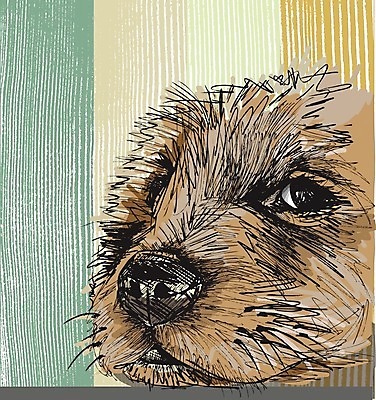 EPS 해외이미지 모양 동물 1 디자인 응시 실루엣 야생동물 포즈 백그라운드 일러스트 포유류 추상 뼈 동물원 미술 그래픽 반려동물 우정 스패니얼 캔 개 강아지 스케치 모피 심볼 그림 심플 솜털 송곳니 경보 그런지 해외202004 해외일러스트 시선 무늬 문화예술 촬영기법 친구 치아 파일형식 벡터 이미지허브