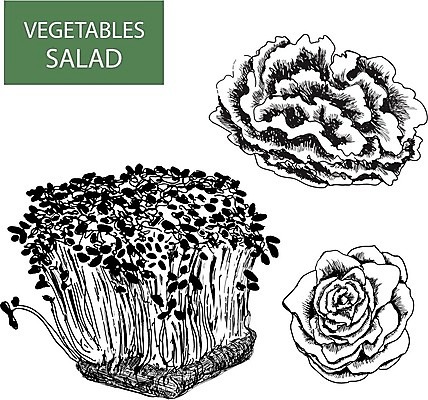 EPS 해외이미지 식물 라이프스타일 음식 잎 농업 다이어트 채소 일러스트 재료 자연 건강 사람없음 빨간색 초록색 세트 정원 식사 봄 샐러드 로켓 흰색 신선 혼합 상추 수집 허브 오브젝트 유기농 흙더미 고립 루꼴라 섞기 채식주의자 해외202004 해외일러스트 웰빙 계절 산업 컬러 생활 흙 생태계 채식 파일형식 벡터 더미 이미지허브