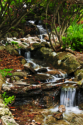 포토 JPG 해외이미지 나무 식물 공원 선 자연 휴식 동양인 풍경 사람없음 야외 물 여름 강 환경 정원 일본 침묵 고요 봄 폭포 바위 개울 닫기 작음 순수 원예 조경 암초 내추럴 해외202004 해외포토 자연요소 계절 공공시설 아시아 컨셉 모션 인종 취미 소리 돌_바위 크기 생태계 파일형식 이미지허브